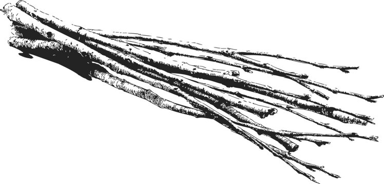 Bundle of sticks sketch hand drawn black and white firewood illustration &mdash; stock vector