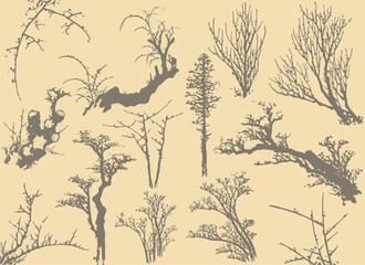 Different silhouette collection of branch and trees