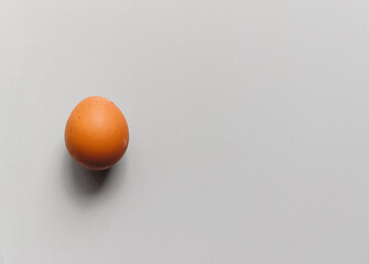 A single egg placed on a light grey background, shown in a clean and minimal composition that highlights its simple form and smooth surface.