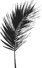 Obraz premium Palm frond sketch hand drawn black ink style isolated on white — stock vector
