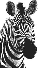 Obraz premium Zebra sketch hand drawn portrait with detailed black and white striped pattern — stock vector