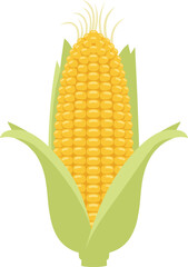 Flat Design Detailed Ripe Corn on the Cob Fresh Food Illustration