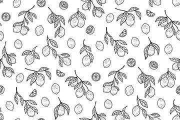 Lemons tree branch seamless pattern. Different branches boundless background hand drawn black and white style. Decorative fruits citrus endless design paper print, textile, wrapper backdrop template