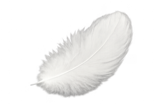 White feather floating showing lightness and purity