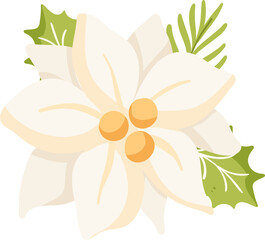 Cute White Poinsettia Christmas Flower Illustration