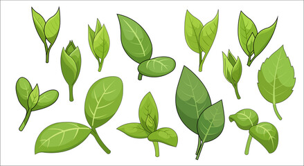 Spring Leaves Element Set – Fresh Botanical Flat Vector