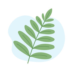 Green fern leaf with elegant natural shape and soft shades, fern illustration symbolizing freshness and calm nature, ideal for botanical prints, wall art, eco branding and modern minimalist designs.