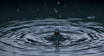 Capturing the precise moment a drop impacts a dark surface of liquid creating concentric waves.