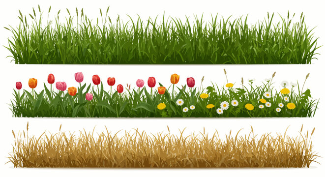 A vibrant vector illustration showcases three distinct rows of grass, including lush green, colorful flowers, and dry, golden blades, perfect for design elements.