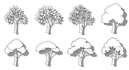Tree Silhouettes in Various Growth Stages Illustrated in Black and White