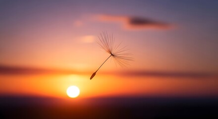 A single dandelion seed floating in the air against a vibrant sunset sky with warm orange and purple hues