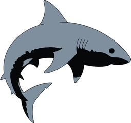 Vector graphic of a great white shark in motion