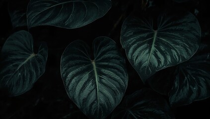 Elegant Lush Green Foliage Tropical Plant Leaves