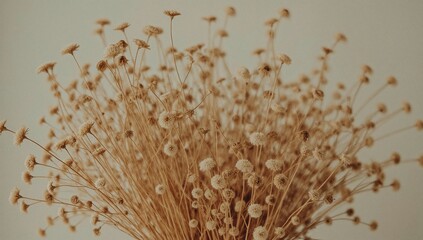 Dried Flower Bouquet Vintage Neutral Tones Arrangement