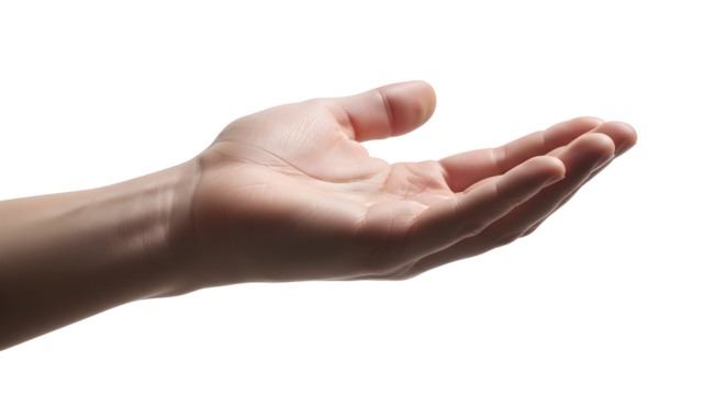 Open hand cupped, ready to receive or give, symbolizing offering and generosity