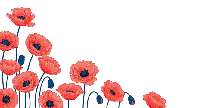 A beautiful vector illustration of vibrant red poppies with dark blue centers and stems, forming a floral border against a clean white background.