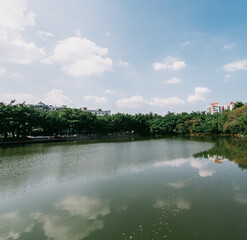 Obraz premium In a park in Dongguan City, Guangdong Province, China, withered leaves of winter lie scattered among the green grass of a natural lawn.