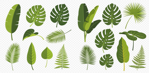 A collection of various green tropical leaves, including monstera, banana, palm, and fern, in a flat vector illustration style.