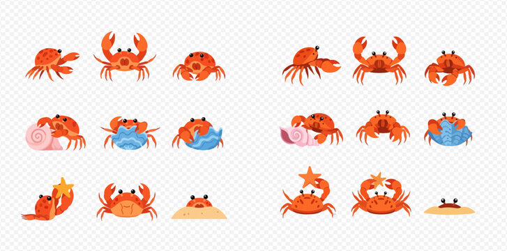 Collection of cute cartoon crabs in various poses, some interacting with seashells and sand, on a transparent background.