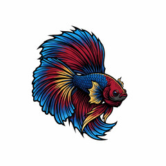 Obraz premium Vector illustration vibrant betta fish with flowing fins art graphic