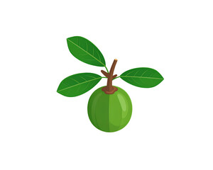 Firefly_Arroba vector icon isolated on transparent background, Arroba logo design (3)