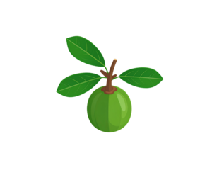 Firefly_Arroba vector icon isolated on transparent background, Arroba logo design (3)