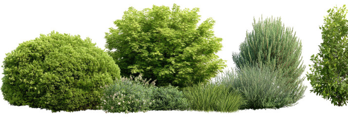 Lush green bushes and trees in a row