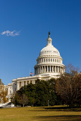 america, american, architecture, building, capital, capitol, city, column, congress, dc, debate, district, dome, government, house, landmark, law, national, politician, pool, representative, senate
