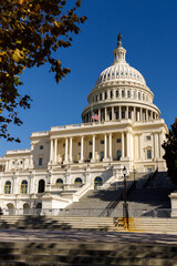 A sunny autumn day in Washington, DC. The White House stands amid autumn trees. The US government  shut down. Memorial Day in capital of USA.