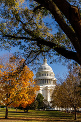 A sunny autumn day in Washington, DC. The White House stands amid autumn trees. The US government  shut down. Memorial Day in capital of USA.
