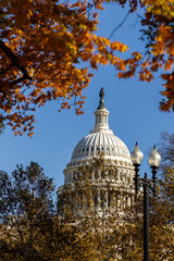 A sunny autumn day in Washington, DC. The White House stands amid autumn trees. The US government  shut down. Memorial Day in capital of USA.