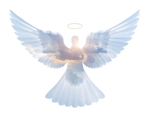 Celestial Dove Cloud Silhouette with Soft Sky Glow