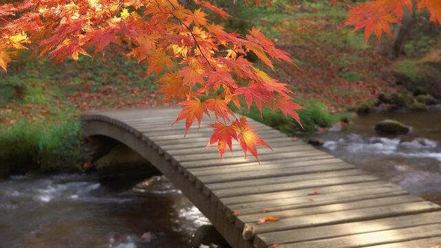 A wooden bridge arches over a stream, surrounded by autumn foliage with vibrant orange and red leaves falling