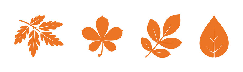 Silhouettes of various autumn leaves in different shapes and sizes.