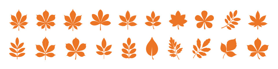 Set of autumn leaves and branches from different trees, maple, oak, aspen, chestnut. Simple flat falling yellow, red, orange autumn leaf. Vector illustration on white background 