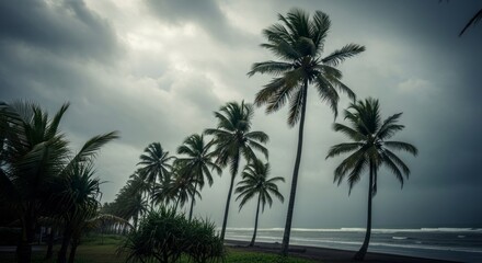 Obraz premium Stormy Weather Over Tropical Beach With Palm Trees.