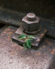 Đà Lạt Train Station