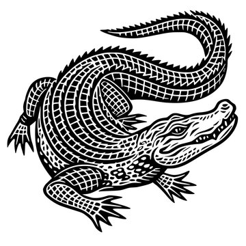 Detailed full-body illustration of a fierce crocodile or alligator in a classic black linocut or woodcut print style.