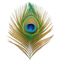 Obraz premium Beautiful peacock feather isolated on a transparent background for easy use