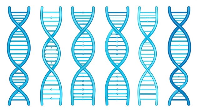 Several stylized blue DNA helix illustrations arranged