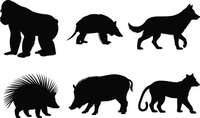 Animal silhouettes, wild creatures, black vector animals, gorilla, armadillo, wolf, porcupine, boar, big cat, wildlife icons, nature, mammals, forest animals, jungle species