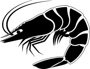 Fototapeta premium a minimalist drawing of a shrimp, black and white, vector illustration