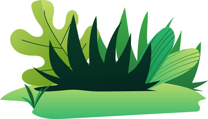 Tropical Plant and Bushes