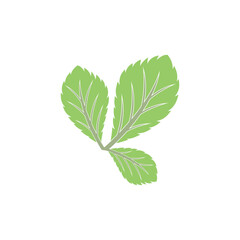 Simple mint logo leaf vector and symbol