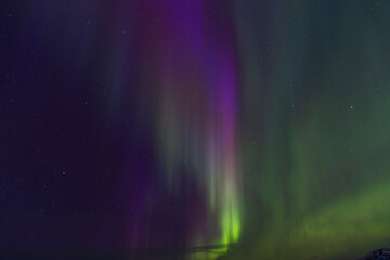 Intensely vibrant vertical columns of magenta and green Aurora Borealis dominate the starry expanse of the night sky in a striking display of color.