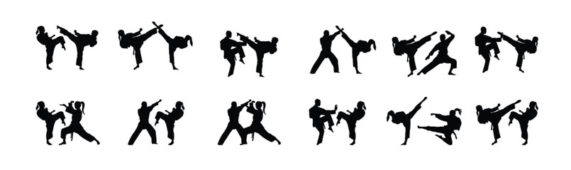 big set of vector illustration of silhouette karate in fight