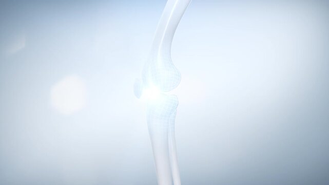 Healthy human bones and knee joints with vitamins or calcium from food and collagen. Medical food concept background.