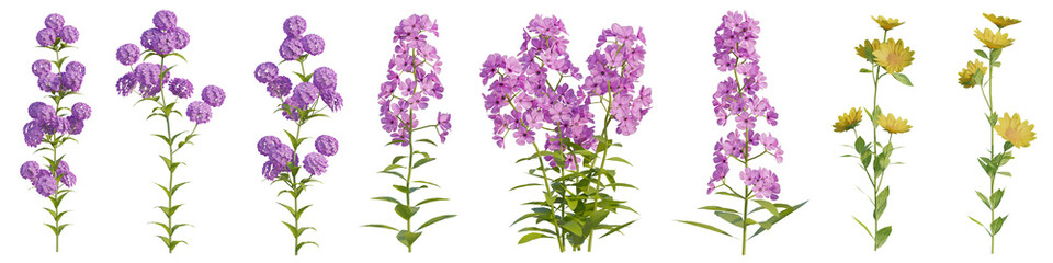 Obraz premium Set of colorful Flowers for nature, garden, or seasonal decoration with isolated on transparent background - PNG file, 3d rendering illustration