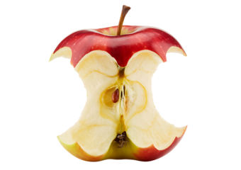 Close up view of an eaten apple core with visible seeds isolated against a transparent background for versatile design use