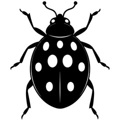 Vector illustration of a cartoon bug
